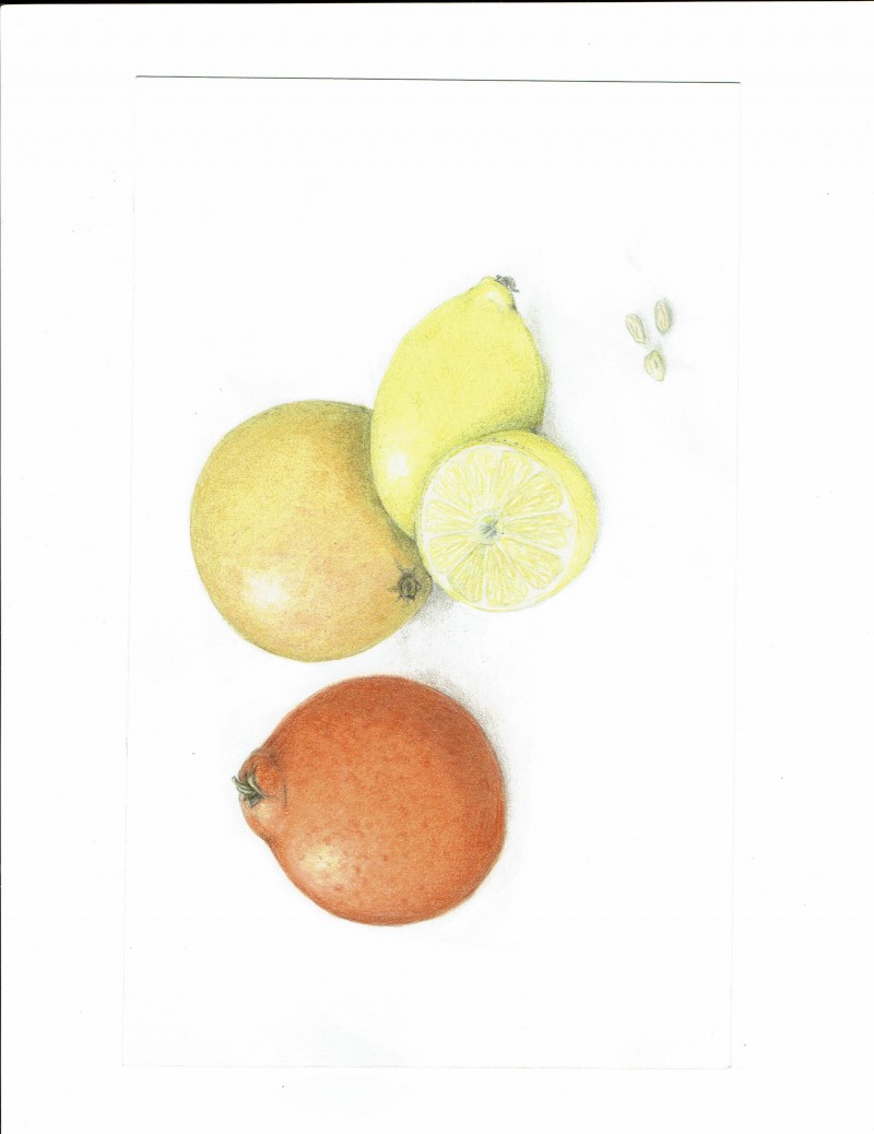 citrusfinal