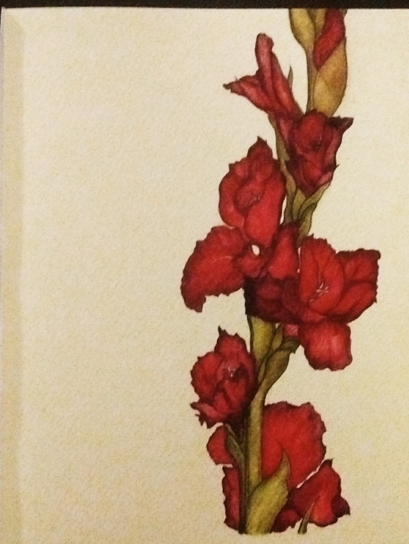 gladiolus-first-attempt