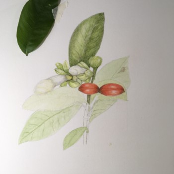 image-10