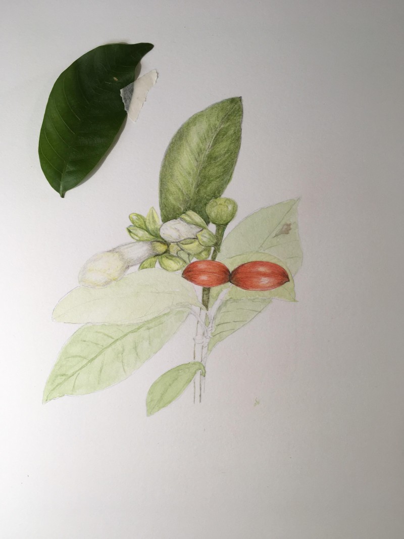image-10