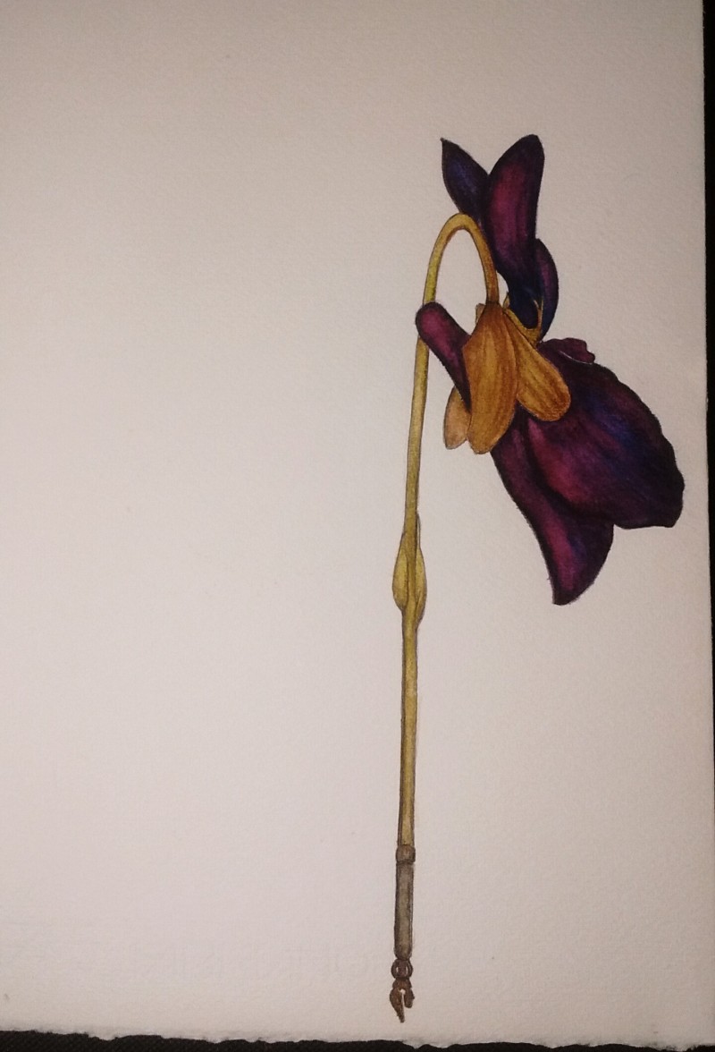 poets-inkwell-violet-1