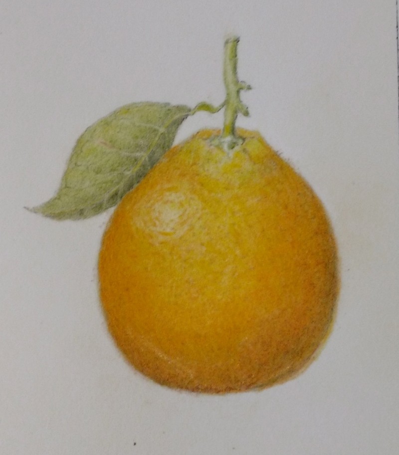 whole-orange-3152017