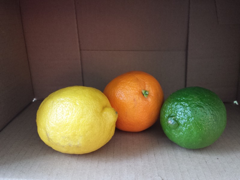 citrus-photo