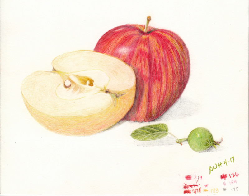applesjwh