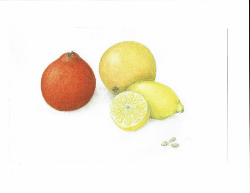citrus-again
