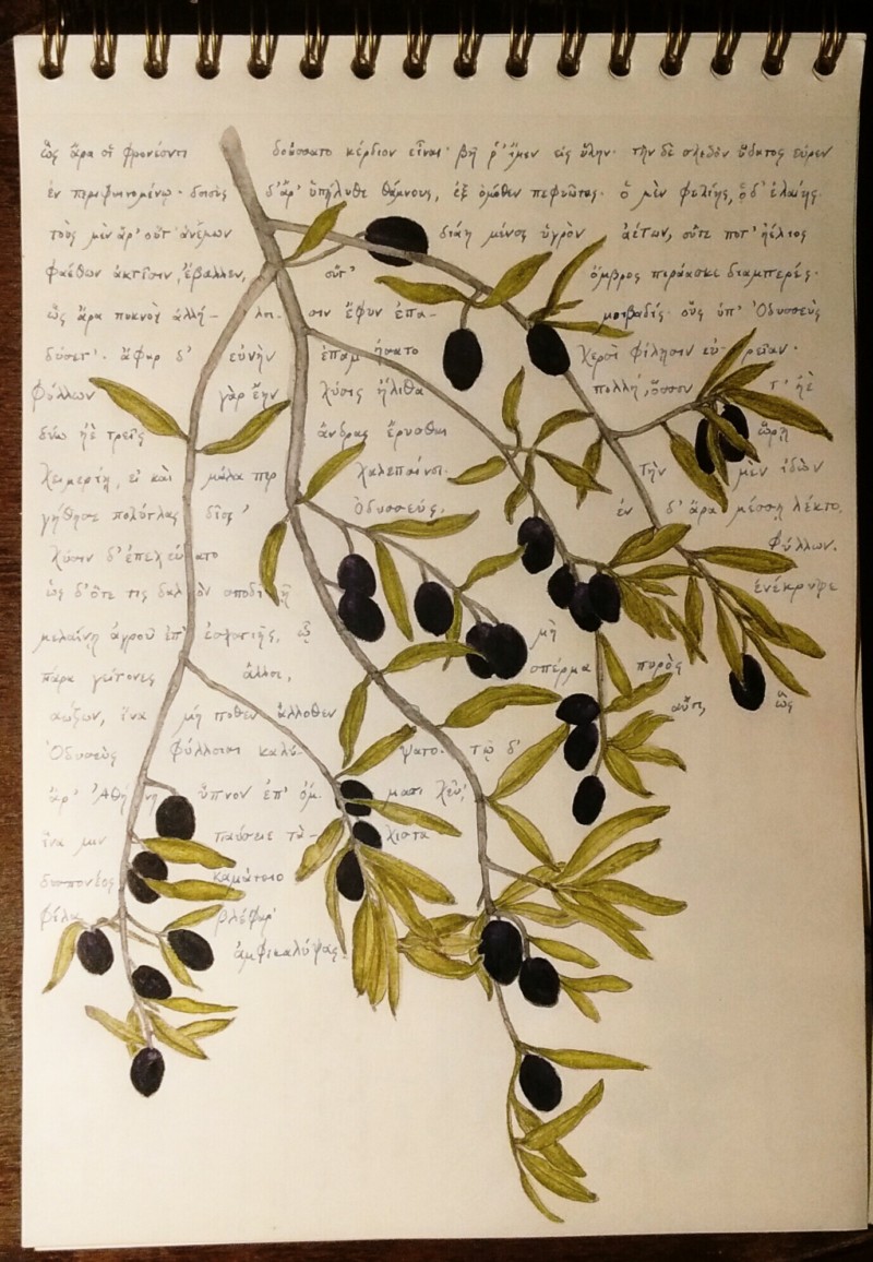 wild-olive-and-homer-odyssey-book-5