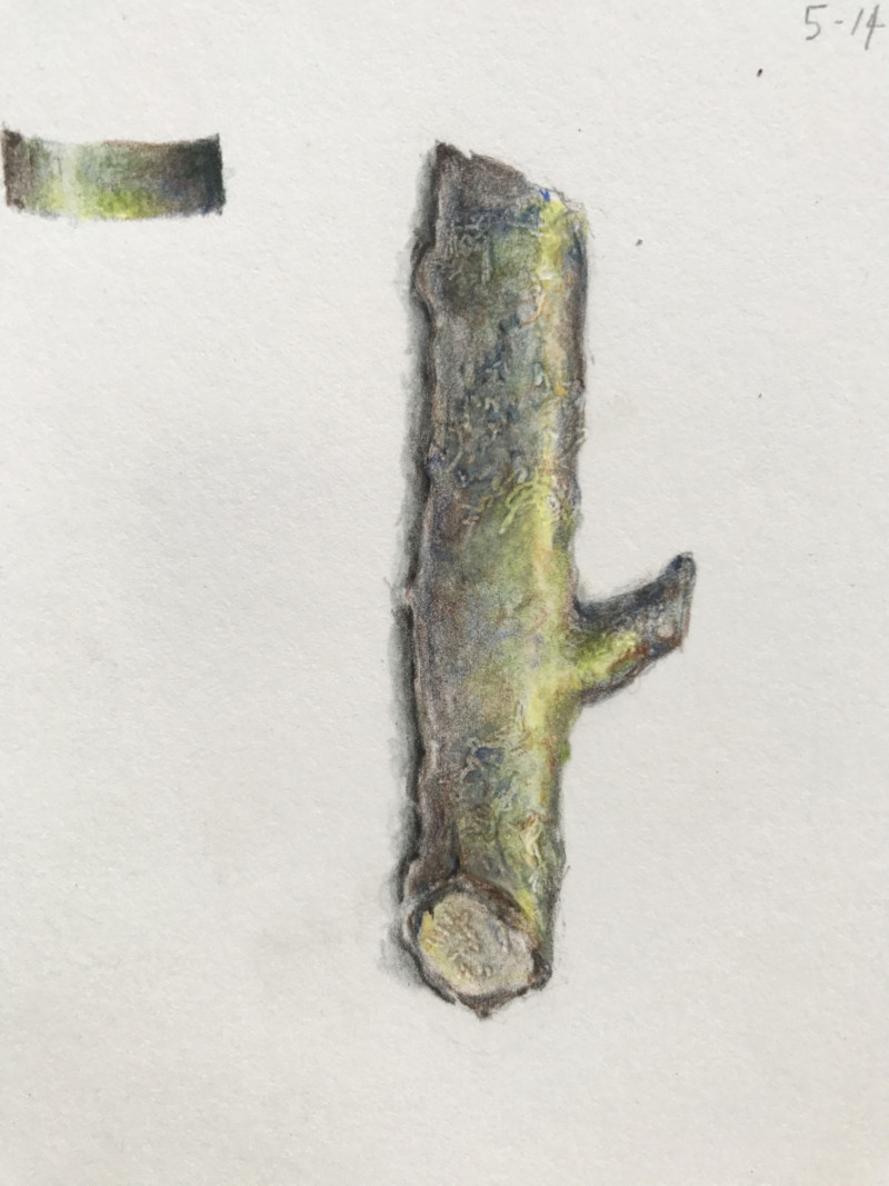 01a-singlebranch-2382