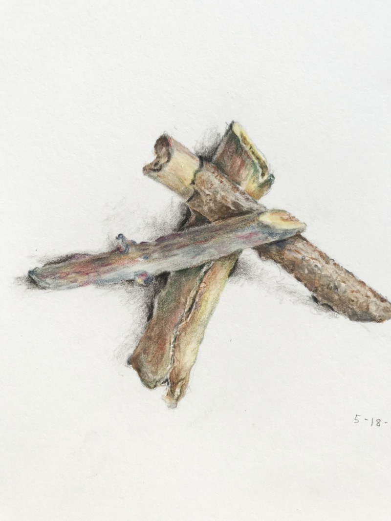 01b-crossedbrances-2385