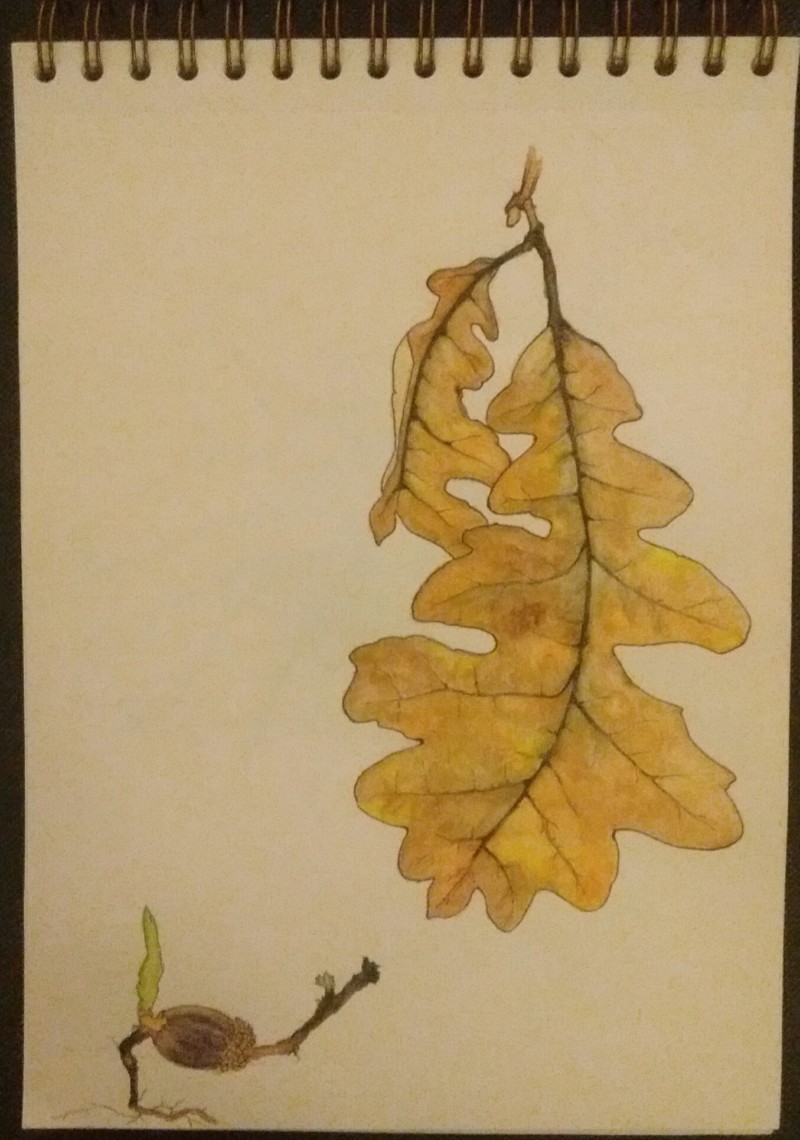 i-hope-he-lives-forever