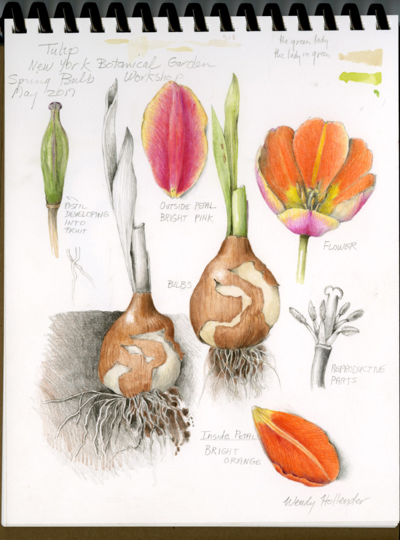 image001