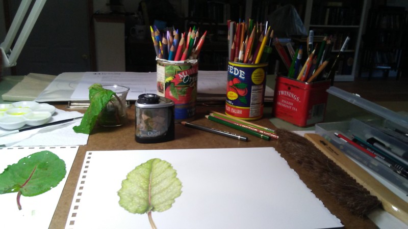 studio