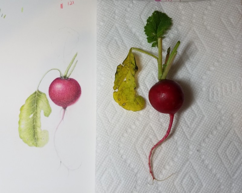 2017-07-05-002-1280x1018