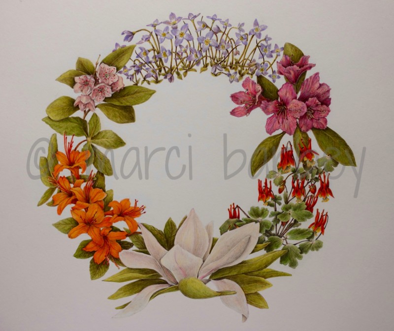 photo-of-summer-wreath-with-watermark