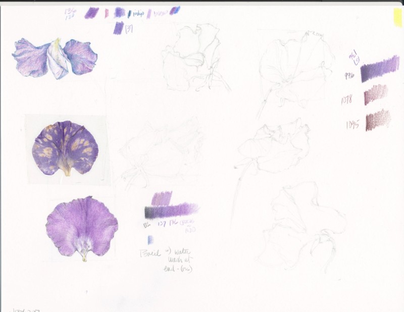 1-benson-sweetpea-prep-jpg