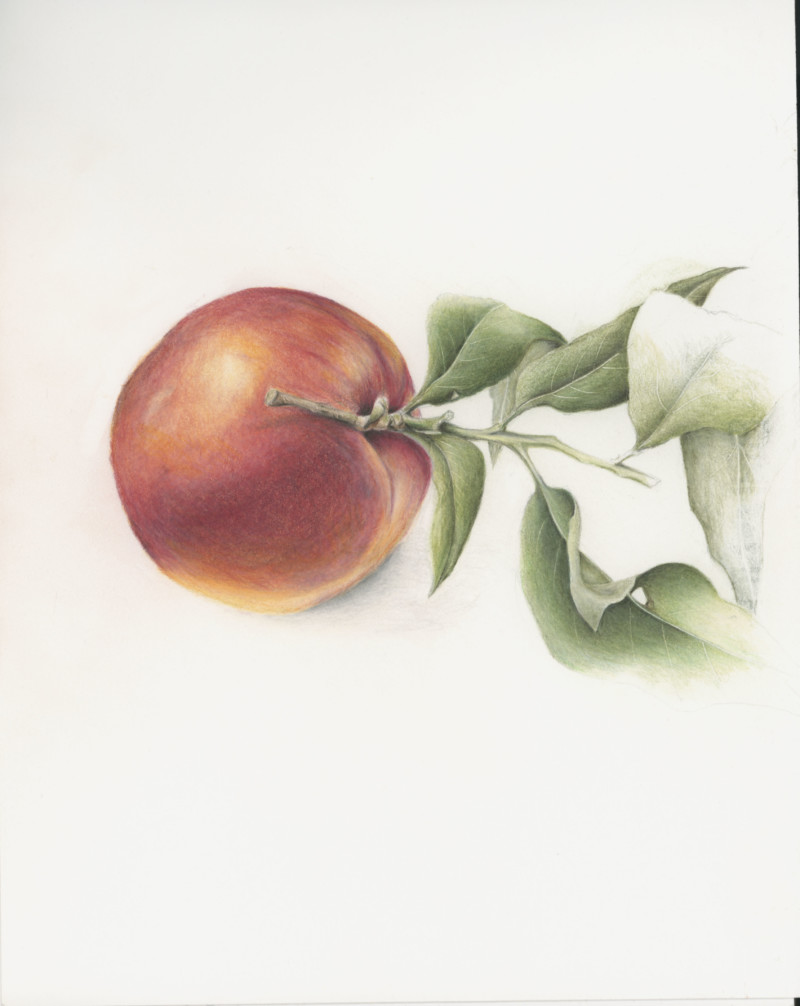 peach