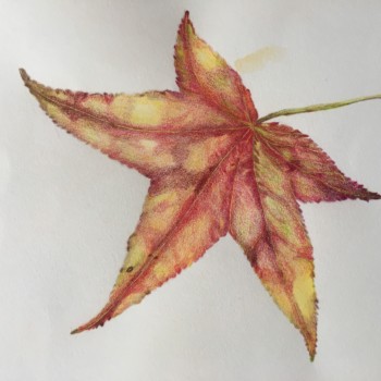 fall-leaf-4