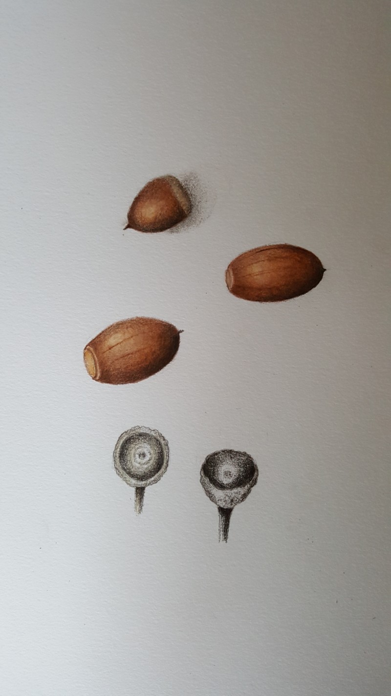 20171010_165458_resized