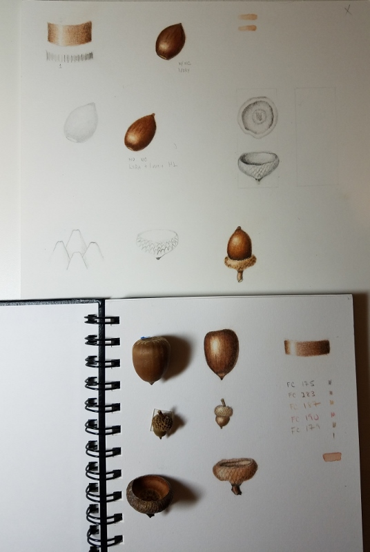 2017-11-11-002-536x800