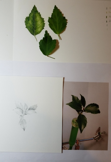 2017-11-11-008-440x640