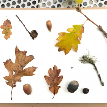 b2d06e8f-01fb-4bb7-8566-0afdbbb829c3