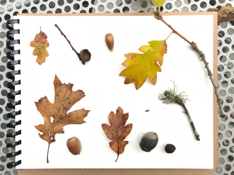 b2d06e8f-01fb-4bb7-8566-0afdbbb829c3