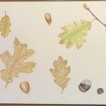 fffe3ca2-495c-42af-a054-205573f6e0d5