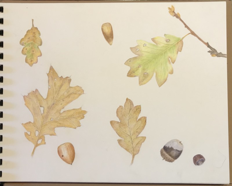 fffe3ca2-495c-42af-a054-205573f6e0d5