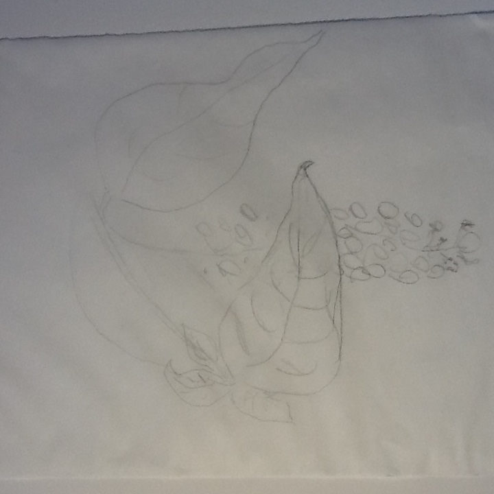 image-25