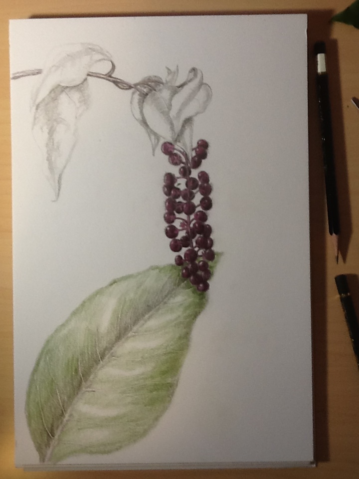 image-33