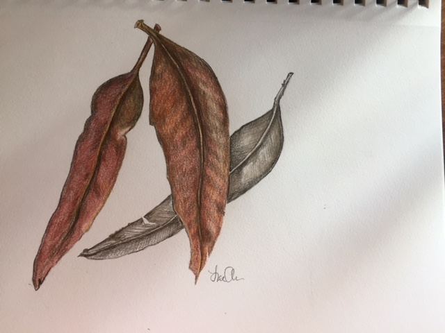 three-leaves