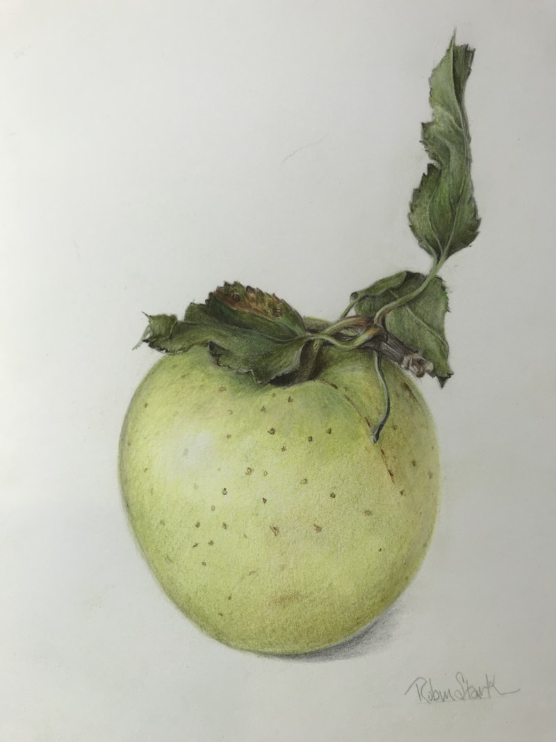 204fe645-9607-47d6-8df8-abbc5b7947ed