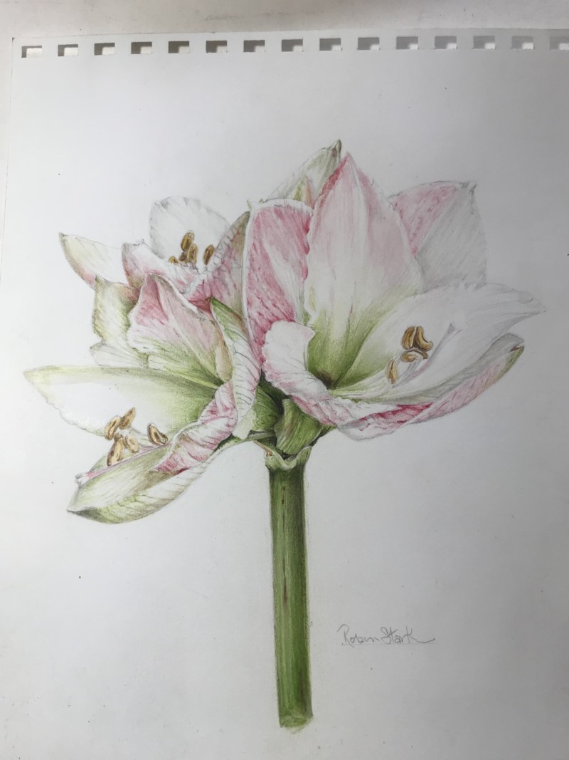 4e7fb510-7bf2-4c03-8c3e-701c33b5e776