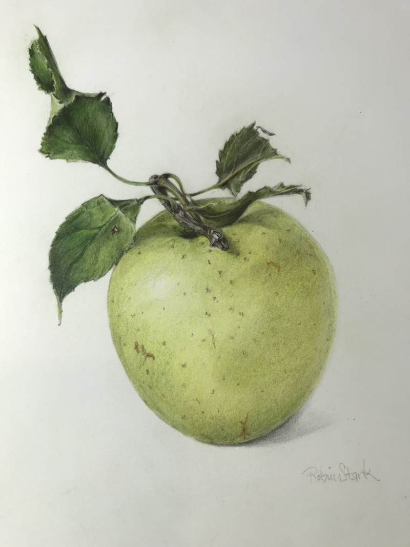 ff5f982e-642f-464e-ae85-ee7153e80b67