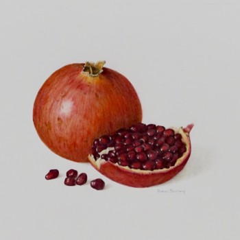 pomegranate