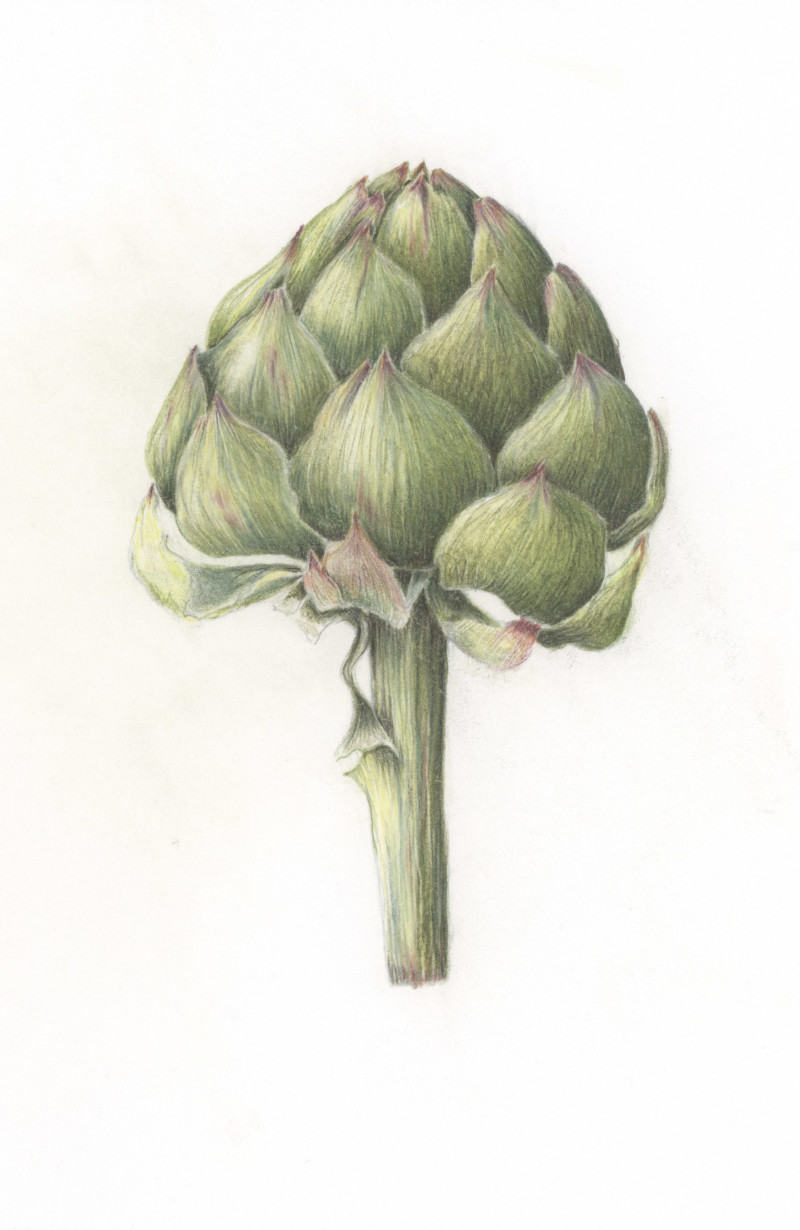 artichoke-redux