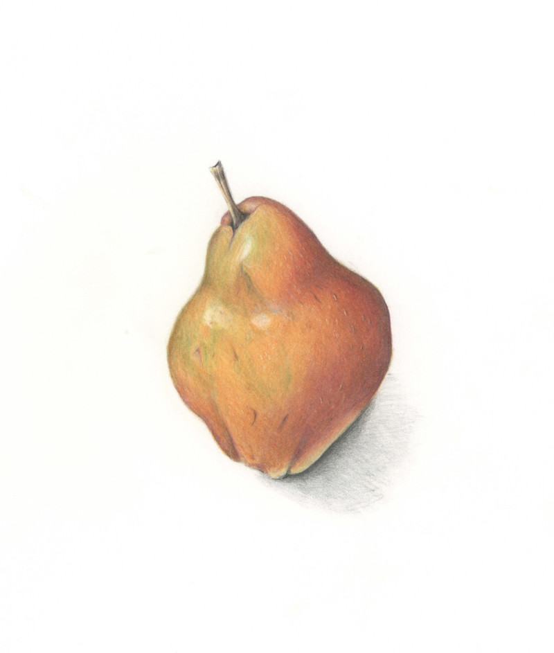 pear-1