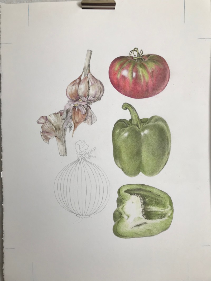 sofrito-spain