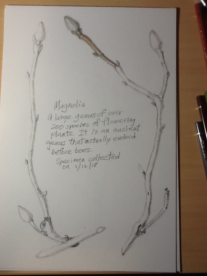 image-45