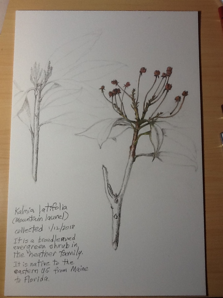 image-44