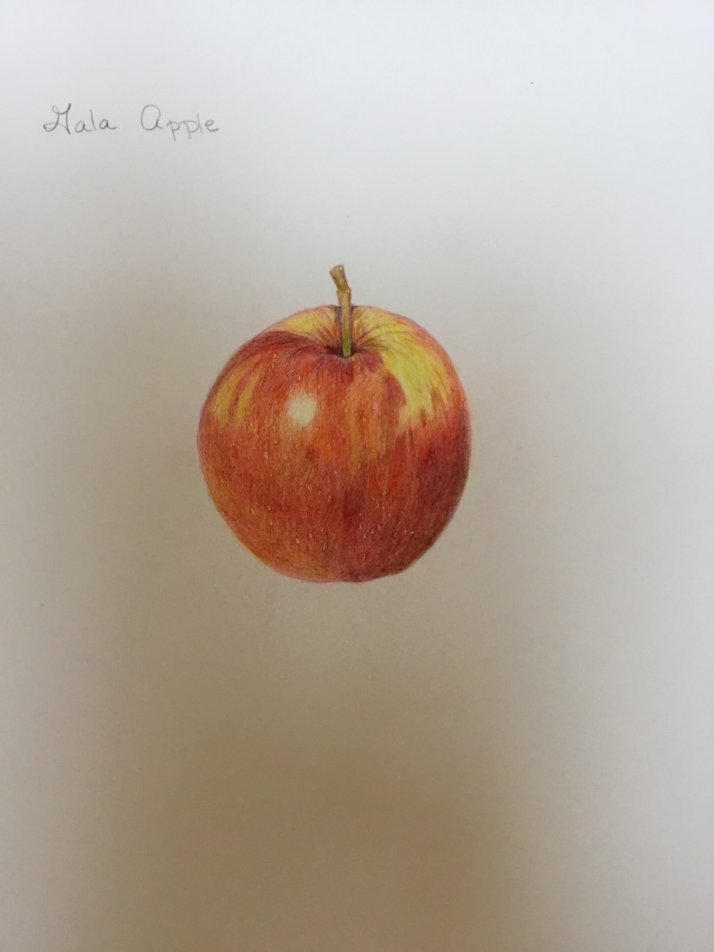 14b84292-2894-4921-a5a0-3d3d3bca5fb9