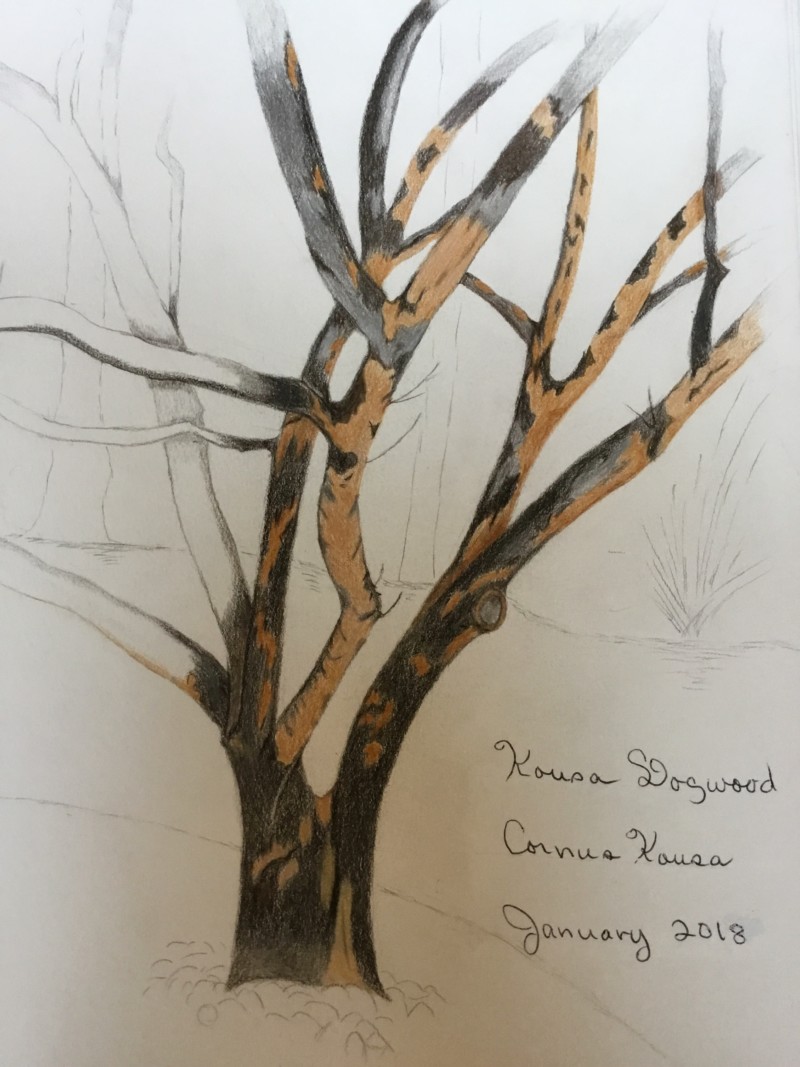 423a752f-1496-4d93-9594-032b39b7821d