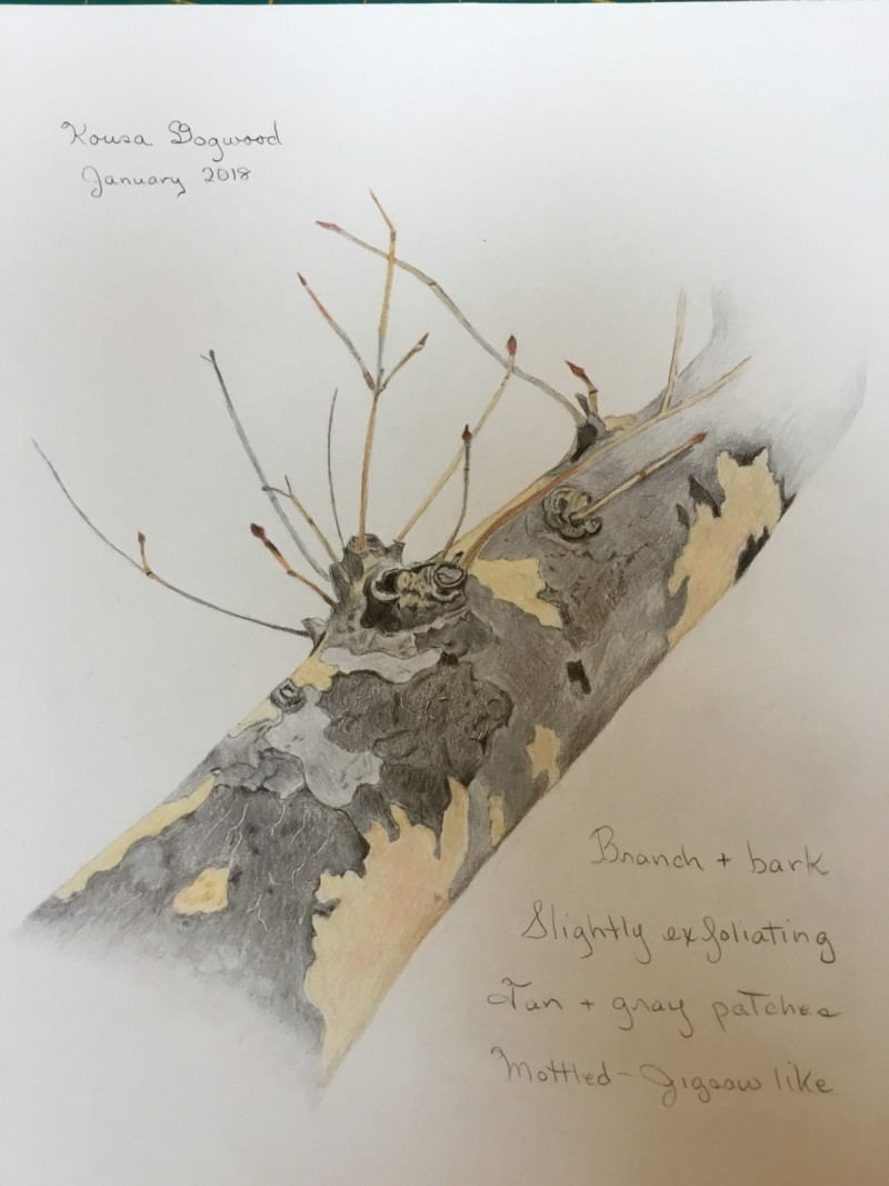 c55717a6-31a4-40ab-9710-e4bd3eb1d6ba