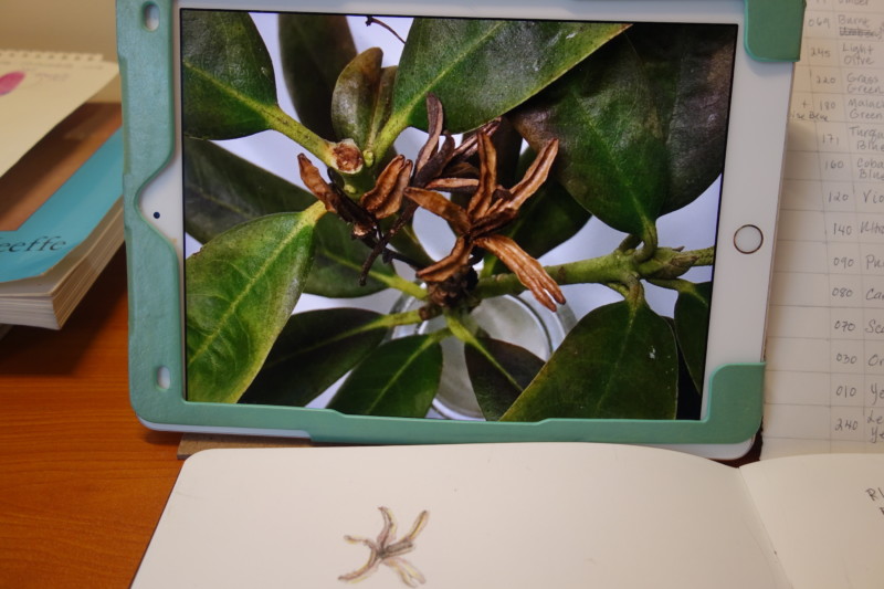ipad-enlargement