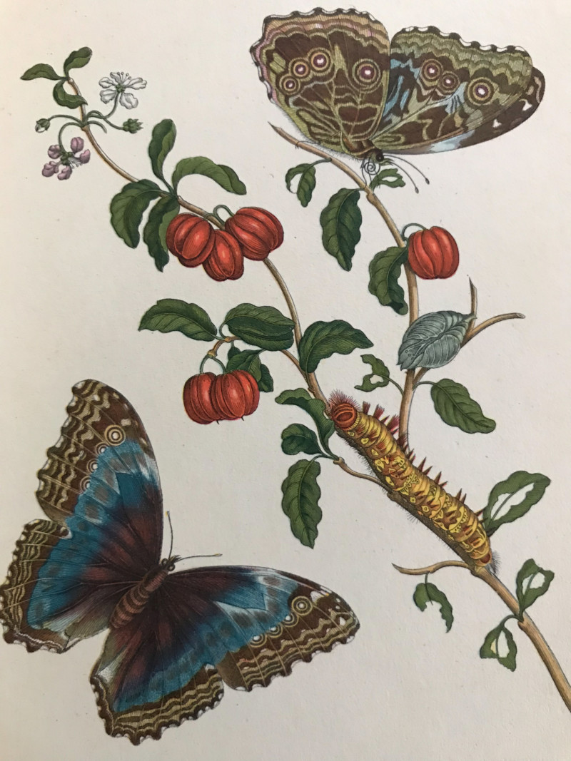 0741b0b5-e8d6-4b20-be5f-0a71b31aa4b9