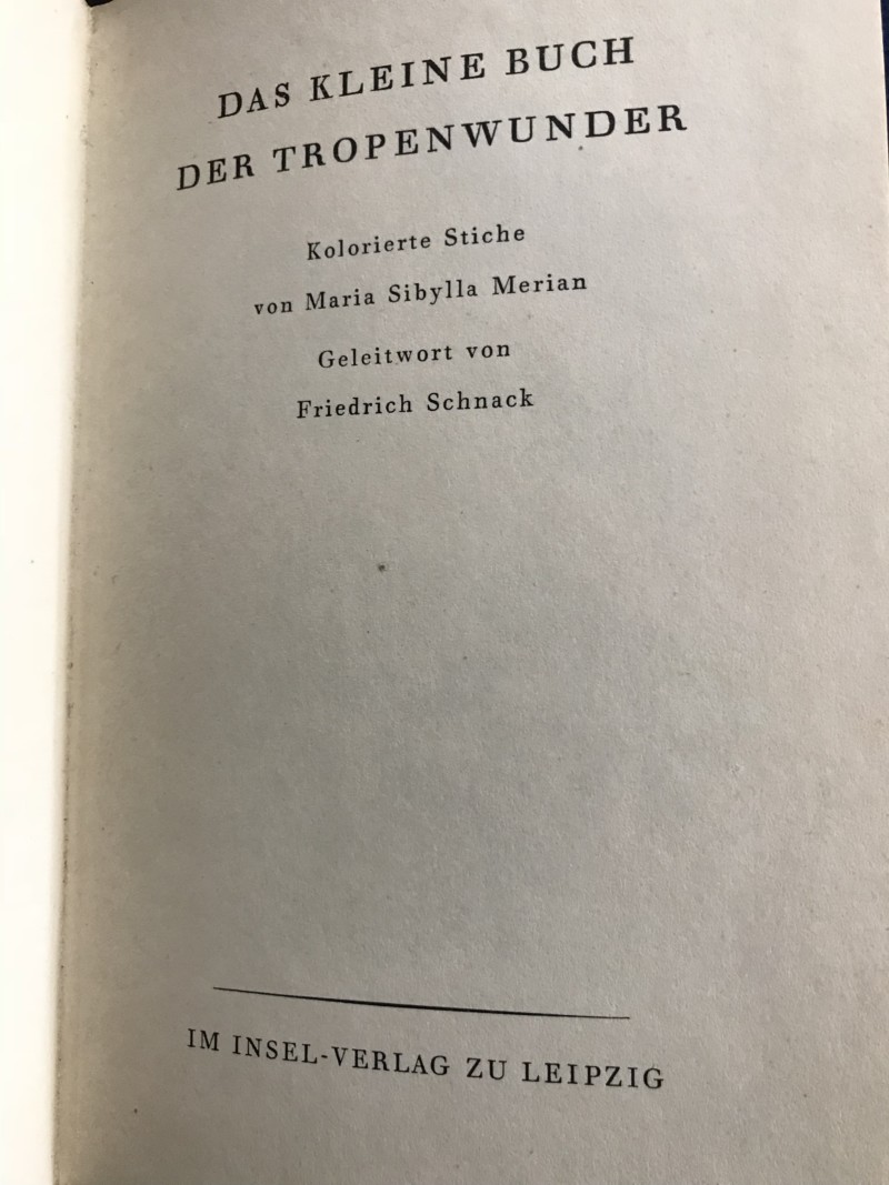 2fb9abd1-276f-4d55-af5f-c5009df9402d