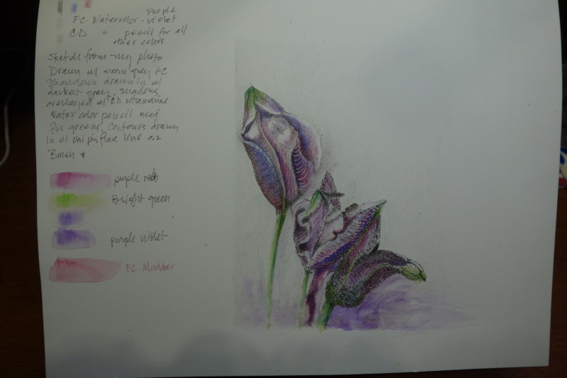 3-buds-with-color-notes