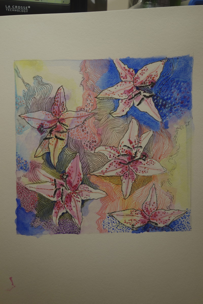 5-open-stargazers