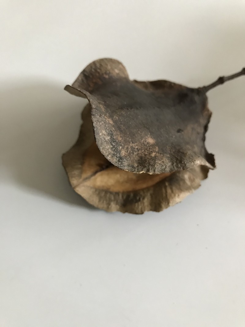 62d8ac2a-52b7-41f0-95c9-71384d4c8c03