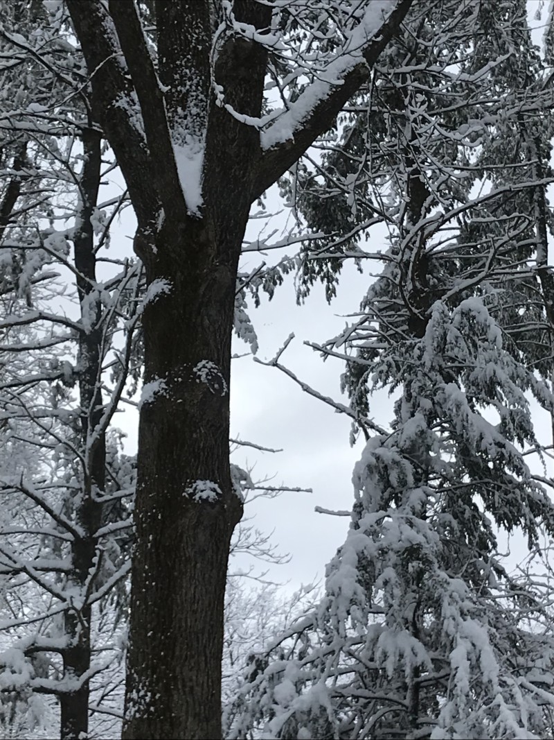 a46eed9d-067d-45c1-8ecb-623cec6db1d9