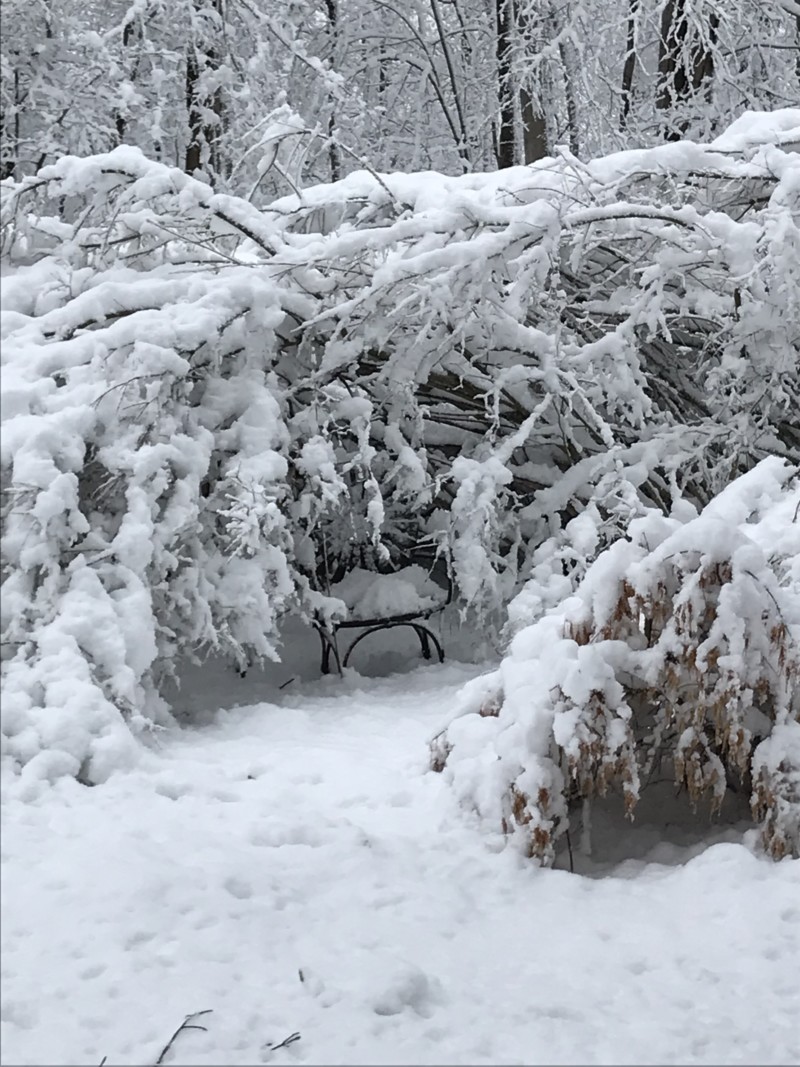 abc1defe-8d3a-4cd0-b883-34a449886717